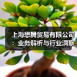 上海懋腾贸易有限公司：业务解析与行业洞察（图2）