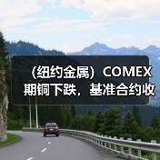 (纽约金属)COMEX期铜下跌,基准合约收低1.6%(图3) (纽约金属)COMEX期铜下跌,基准合约收低1.6%(图3)