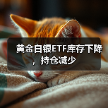 黄金白银ETF库存下降，持仓减少（图4）