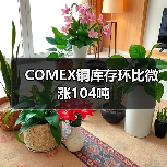 COMEX铜库存环比微涨104吨（图2）