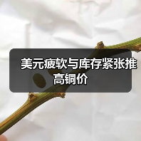 美元疲软与库存紧张推高铜价(图2) 美元疲软与库存紧张推高铜价(图2)