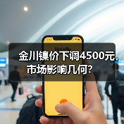 金川镍价下调4500元，市场影响几何？（图2）