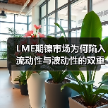 LME期镍市场为何陷入流动性与波动性的双重困境?(图3) LME期镍市场为何陷入流动性与波动性的双重困境?(图3)