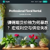 镍锡期货价格为何暴跌?宏观利空与供需失衡双重打击(图4) 镍锡期货价格为何暴跌?宏观利空与供需失衡双重打击(图4)