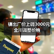 镍出厂价上调3000元 金川调整价格（图3）