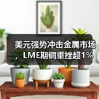 美元强势冲击金属市场,LME期铜重挫超1%(图4) 美元强势冲击金属市场,LME期铜重挫超1%(图4)