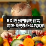 BDI连涨四周创新高！海运运费暴涨背后真相（图4）