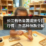 长江有色金属现货今日行情:各品种涨跌全解析(图3) 长江有色金属现货今日行情:各品种涨跌全解析(图3)