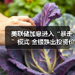 美联储加息进入“暴走”模式 金银跌出投资价值(图2) 美联储加息进入“暴走”模式 金银跌出投资价值(图2)
