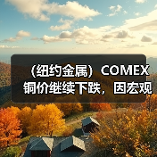 (纽约金属)COMEX铜价继续下跌,因宏观担忧以及美元走强(图2) (纽约金属)COMEX铜价继续下跌,因宏观担忧以及美元走强(图2)