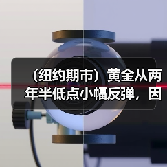 （纽约期市）黄金从两年半低点小幅反弹，因美元涨势降温（图4）