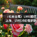 （伦敦金属）LME期铜上涨，LME讨论俄罗斯金属禁令引发上涨