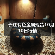 长江有色金属现货10月10日行情（图4）