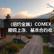 （纽约金属）COMEX期铜上涨，基准合约收高1.3%（图4）