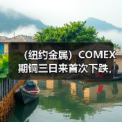 (纽约金属)COMEX期铜三日来首次下跌,基准合约收低1%(图3) (纽约金属)COMEX期铜三日来首次下跌,基准合约收低1%(图3)