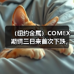 (纽约金属)COMEX期铜三日来首次下跌,基准合约收低1%(图4) (纽约金属)COMEX期铜三日来首次下跌,基准合约收低1%(图4)