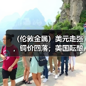 (伦敦金属)美元走强,铜价回落;美国酝酿俄铝禁令提振铝价飙升(图3) (伦敦金属)美元走强,铜价回落;美国酝酿俄铝禁令提振铝价飙升(图3)