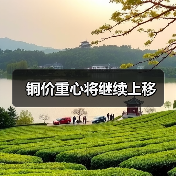 铜价重心将继续上移（图4）