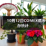 10月12日COMEX铜库存统计
