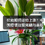 伦敦期铜逆势上涨？中国疫情放宽预期与美联储加息博弈成关键