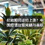伦敦期铜逆势上涨?中国疫情放宽预期与美联储加息博弈成关键(图3) 伦敦期铜逆势上涨?中国疫情放宽预期与美联储加息博弈成关键(图3)