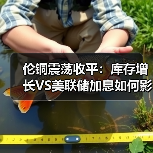 伦铜震荡收平:库存增长VS美联储加息如何影响价格?(图3) 伦铜震荡收平:库存增长VS美联储加息如何影响价格?(图3)