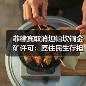 菲律宾取消坦帕坎铜金矿许可:原住民生存担忧引争议(图4) 菲律宾取消坦帕坎铜金矿许可:原住民生存担忧引争议(图4)