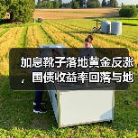 加息靴子落地黄金反涨,国债收益率回落与地缘风险如何影响市场?(图4) 加息靴子落地黄金反涨,国债收益率回落与地缘风险如何影响市场?(图4)