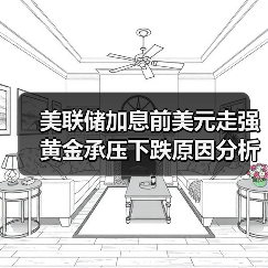美联储加息前美元走强黄金承压下跌原因分析(图4) 美联储加息前美元走强黄金承压下跌原因分析(图4)