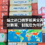 瑞士进口俄罗斯黄金再创新高,制裁后为何持续攀升?(图4) 瑞士进口俄罗斯黄金再创新高,制裁后为何持续攀升?(图4)