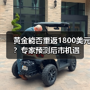 黄金能否重返1800美元？专家预测后市机遇（图2）