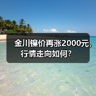 金川镍价再涨2000元，行情走向如何？