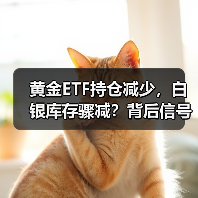 黄金ETF持仓减少，白银库存骤减？背后信号解读（图3）