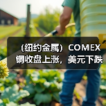 （纽约金属）COMEX铜收盘上涨，美元下跌构成支持